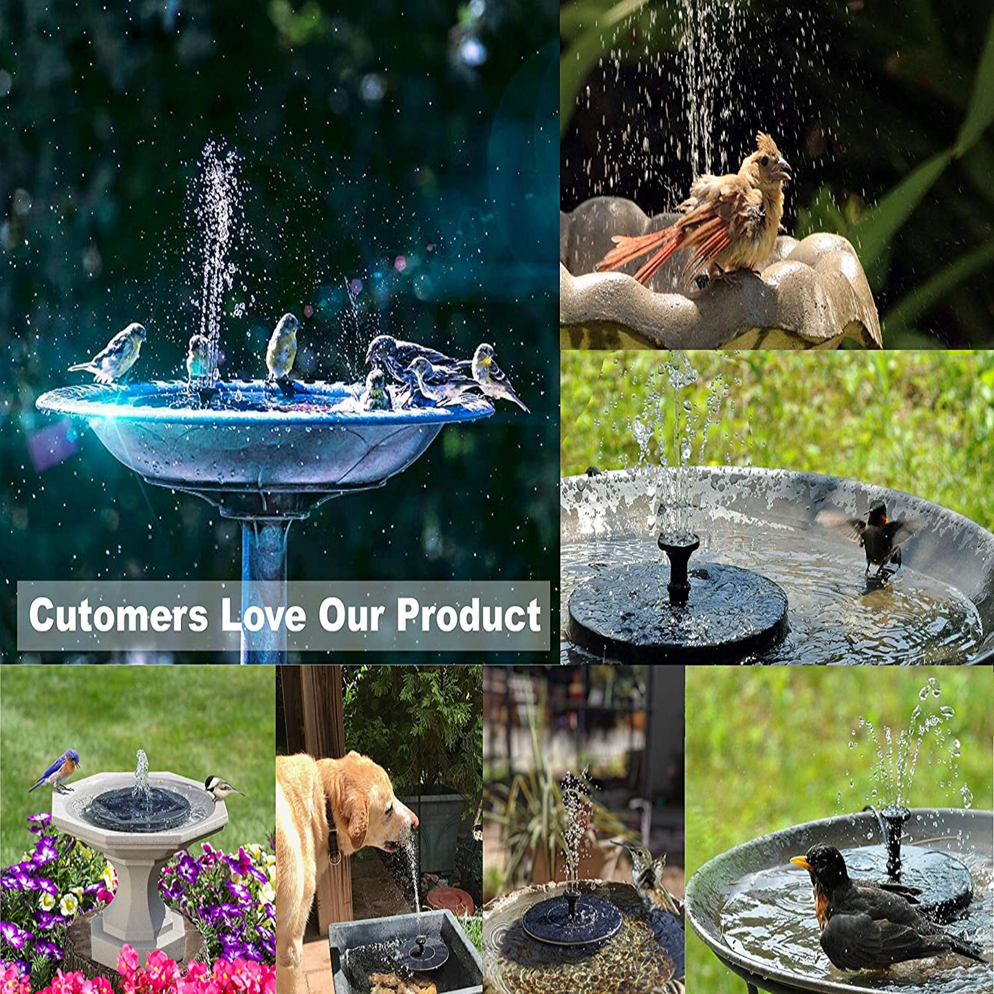 Hydro Sun™ Solar powered water fountain